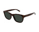 HAVANA BROWN & GREEN 002 / 54