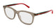 TRANSPARENT BROWN 003 / 51