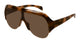 HAVANA BROWN 002 / 99