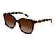 HAVANA BROWN 002 / 52