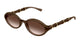 BROWN 003 / 51