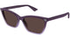 VIOLET & BROWN 003 / 56