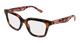 TORTOISE 004 / 51