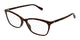TORTOISE 002 / 55