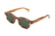 HAVANA TORTOISE  GREEN  ARI03 / 49