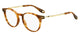 HAVANA & GOLD   VR0 / .