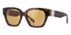 SHINY DARK HAVANA   52J / 53
