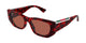TORTOISE & BROWN 003 / 53