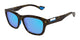 TORTOISE & BLUE   002 / 54