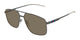 RUTHENIUM SILVER & BROWN   003 / 60