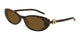 TORTOISE & BROWN   004 / 52