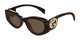 TORTOISE & BROWN   002 / 54