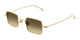 GOLD & BROWN 002 / 41