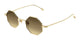 GOLD & BROWN 002 / 41