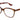 Gucci 1816O Tortoise & Pink 008 Frame, Size 54 – Dayal Opticals