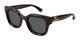 BROWN 004 / 49