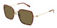 TORTOISE GOLD 002 / 53