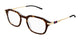 TORTOISE & CLEAR 002 / 49