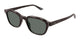 PATTERN BROWN 003 / 50