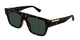 TORTOISE & GREEN  004 / 53