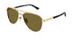 GOLD & BROWN 004 / 56