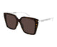 HAVANA BROWN 003 / 54