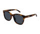 HAVANA BROWN 002 / 55