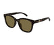 DARK HAVANA BROWN 003 / 55