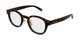 TORTOISE  002 / 49