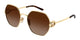 GOLD & BROWN 003 / 58