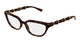 HAVANA TORTOISE 002 / 53