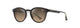 SHINY DARK HAVANA & TRANS YELLOW   HS636-10 / 50