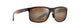TORTOISE   H449-01 / 58