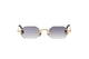 GOLD & GREY C503 / 52