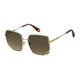 GOLD & BROWN 01Q / 59