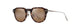 TORTOISE & GOLD H837-10 / 49