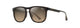 SHINY DARK HAVANA   HS641-10 / 55