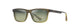 SHINY TRANS MIL GREEN & YELLOW HTS587-15 / 55
