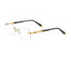 MEDIUM GOLD PLATED  TORTOISE MG-AA-Z65 / 57