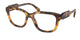 HONEY TORTOISE 14L1O1 / 51
