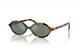 TORTOISE HONEY VAU04M / 50