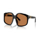 BLACK & BROWN 21D90Q / 59