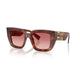 STRIPED TOBACCO 26E50U / 51