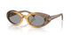 BROWN & GREY 24M50Q / 52