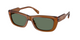 AMBER 22170L / 56