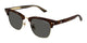 DARK TORTOISE GOLD   003 / 52
