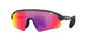 MATTE BLACK & PRIZM ROAD PURPLE 952503 / 37