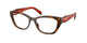 JUNIPER TORTOISE 01K1O1 / 53