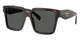 ROOT TORTOISE & DARK GREY 17N40L / 56