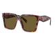 TORTOISE COGNAC BEGONIA & BROWN 18N01T / 56